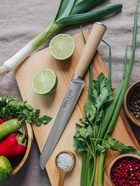 Нож кухонный хлебный SL Home «Калабрия», нержавеющая сталь, 20.5 см, бежевый 10174731 Нож кухонный хлебный SL Home «Калабрия», нержавеющая сталь, 20.5 см, бежевый 10174731