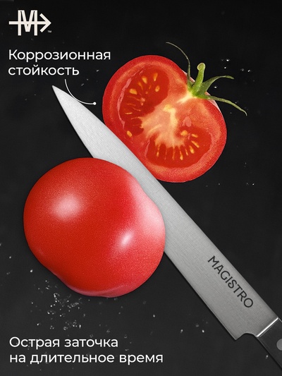 Нож кухонный разделочный Magistro Hinshitsu, нержавеющая сталь, 20.3 см, чёрный