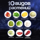 Набор для опытов «Моя мини-ферма», выращивание растений, в космосе 10657857 - фото 16922594