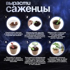Набор для опытов «Моя мини-ферма», выращивание растений, в космосе 10657857 - фото 16922595