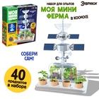 Набор для опытов «Моя мини-ферма», выращивание растений, в космосе 10657857 - фото 16922596