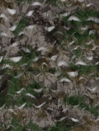 Сетка маскировочная, 4×3 м, двухслойная, с завязками, песочно-зелёная, Greengo - Фото 6