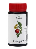 Удобрение для гидропоники "GroBro" FloMystiQ, 100мл - Фото 1