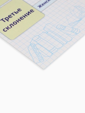 Обучающая карточка-шпаргалка «Склонения» 15?21 см (комплект 20 шт)