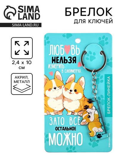 Брелок линейка для ключей «Любовь нельзя измерить», 2.4×10 см