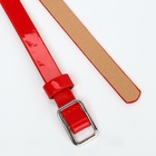 Ремень женский тонкий, 110×1.3 см, прямоугольная пряжка металл, серебристая, красный - Фото 5