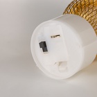 Фигурка светящаяся RISALUX «Восход», LED-ночник, 0.3 Вт, 4×4×6 см - Фото 4