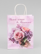 Пакет подарочный крафтовый «Лучшей во вселенной», 25×22×11 см - Фото 2