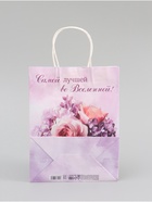 Пакет подарочный крафтовый «Лучшей во вселенной», 25×22×11 см - Фото 5