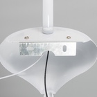 Бра «Бергамо» 1хЕ14 40 Вт бело-хромовый 23×14×37 см - Фото 6