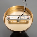 Бра "Сиена" 1хЕ14 40Вт черно-золотой 12х17х40 см - фото 31426527