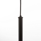 Светильник «Смарт» LED 6 Вт 3000-6000К черный хром 11×13×33-233 см - фото 4727486