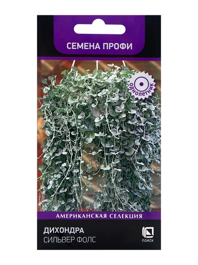 Семена цветов Дихондра Сильвер Фолс, 5шт