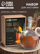 Подарочный набор для приготовления настойки «Пина колада», набор специй, штоф - Фото 1