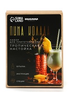 Подарочный набор для приготовления настойки «Пина колада», набор специй, штоф - Фото 7