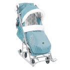 Санки - коляска «Ника детям 7-5K», с чехлом для ног, муфта, цвет мятный с шишкой 10723835