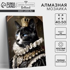 Алмазная мозаика с полным заполнением на холсте с подрамником «Мусье кот», 40 х 50 см - фото 322354169