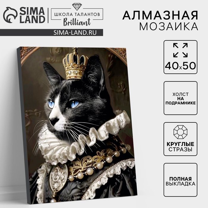 Алмазная мозаика с полным заполнением на холсте с подрамником «Мусье кот», 40 х 50 см - Фото 1