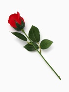 Мыльная роза красная в коробке - Фото 4