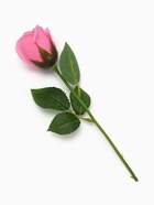 Мыльная роза розовая в коробке - Фото 1