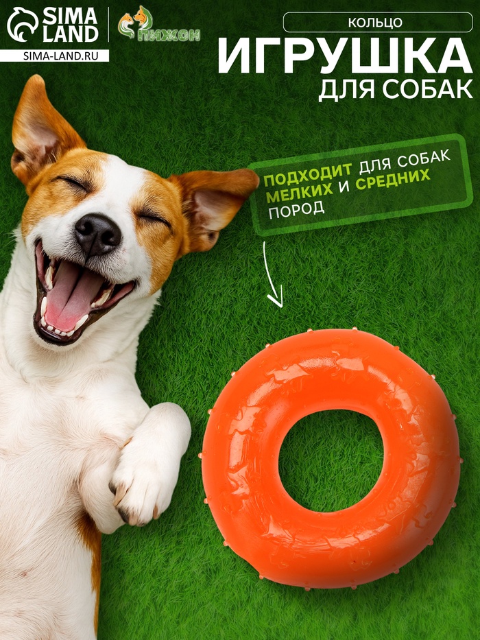 Жевательная игрушка дял собак «Кольцо», 6.7×2 см, прозрачная, PP, оранжевая