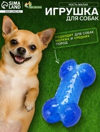 Жевательная игрушка для собак «Кость малая», 8.5 см, суперпрочная, голубая - Фото 1