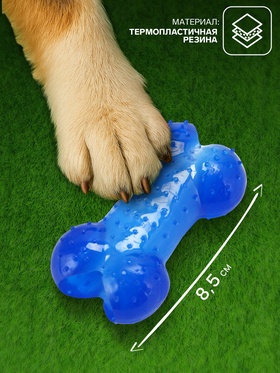 Игрушка жевательная суперпрочная «Кость малая», 8.5 см, голубая (комплект 2 шт)