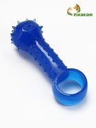 Игрушка-дразнилка для собак «Поймай меня!», 9.5 см, прозрачная, PP, синяя - Фото 1