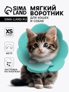 бирюзовый