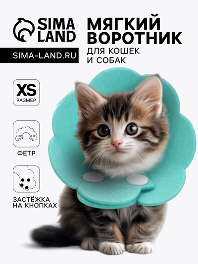 Ветеринарный воротник из фетра "Ромашка", размер XS, бирюзовый