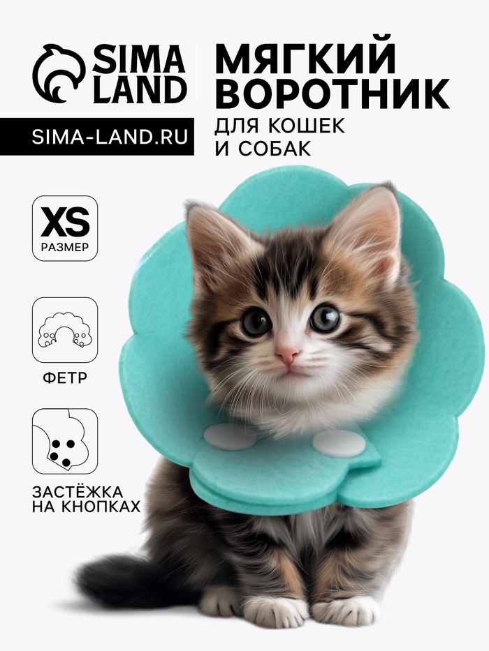 Ветеринарный воротник из фетра "Ромашка", размер XS, бирюзовый - Фото 1