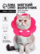 фуксия