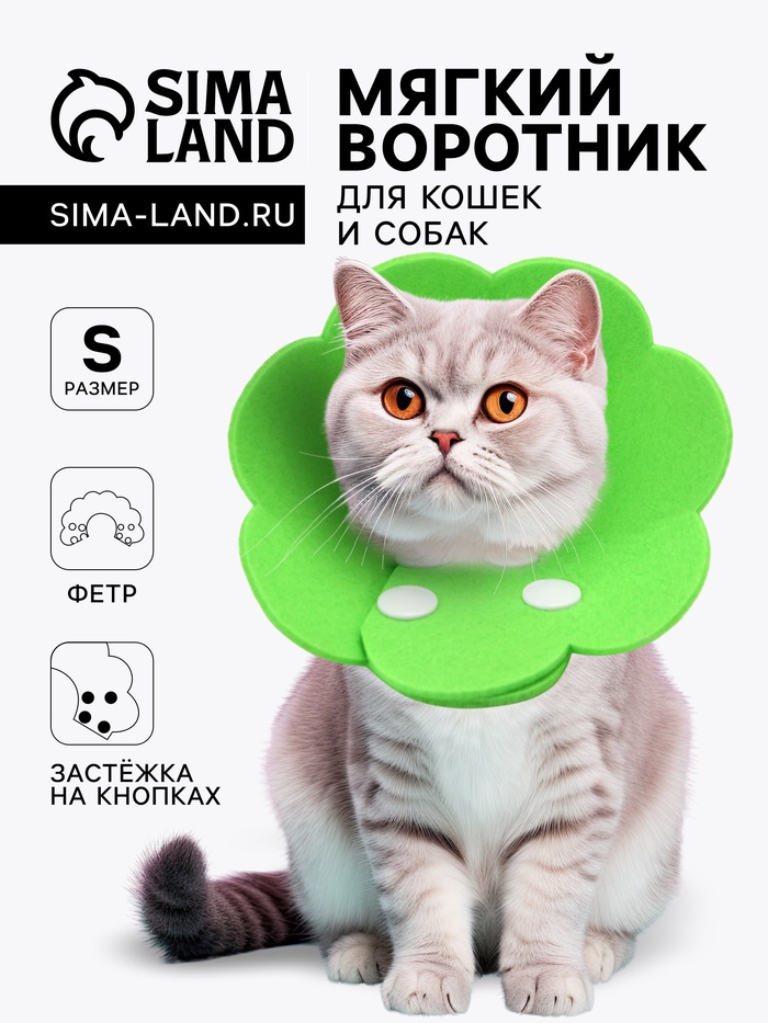 Ветеринарный воротник из фетра «Ромашка», размер S, зелёный - Фото 1