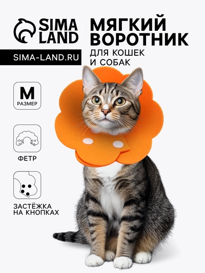 Ветеринарный воротник из фетра «Ромашка», размер M, оранжевый