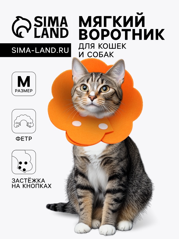 Ветеринарный воротник из фетра «Ромашка», размер M, оранжевый - Фото 1