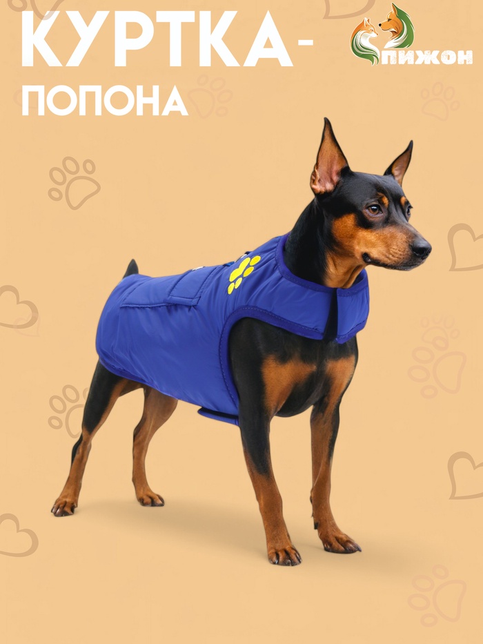 Куртка - попона, двусторонняя, размер XL, ДС 40, ОГ 54 см, вес 11-19 кг, синяя - Фото 1