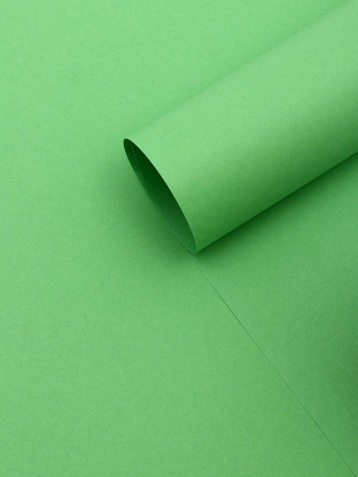 Бумага упаковочная крафт «Зеленый»,50×70 см - Фото 1