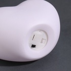 Фигурка светящаяся RISALUX «Сердце. Голуби», LED-ночник, 3хLR44, 8×11×7 см - Фото 6