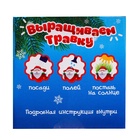 УЦЕНКА Набор для опытов «Выращиваем травку: Сапожок», с семенами - Фото 7