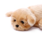 Уценка Интерактивная игрушка «Ласковый щенок» - Фото 2