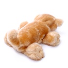 Уценка Интерактивная игрушка «Ласковый щенок» - Фото 4