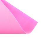 Фоамиран цветной А4, deVENTE, 10 листов, 10 цветов, 1мм , пастельные цвета (комплект 2 шт) - фото 31492708