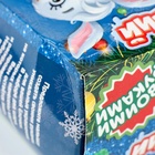 УЦЕНКА Ёлочные шары под раскраску на новый год «Время чудес», 2 шт, набор для творчества 10857218