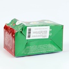 УЦЕНКА Ёлочные шары под раскраску на новый год «Новогодняя сказка», 2 шт., набор для творчества 10857219