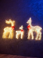 Фигура световая FROSTY «Семья оленей», 64, 100, 100 см, 1740 LED, 220V, свечение тёплое белое - фото 7448706 Фигура световая FROSTY «Семья оленей», 64, 100, 100 см, 1740 LED, 220V, свечение тёплое белое - фото 7448706