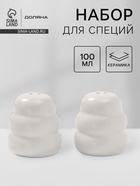 Набор для специй Доляна «Зефир», солонка, перечница, 100 мл, керамика, белый - Фото 1