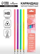 Карандаш чернографитный, Calligrata Pastel, заточенный, пластик, трёхгранный, МИКС - Фото 1