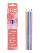 Карандаш чернографитный, Calligrata Pastel, заточенный, пластик, трёхгранный, МИКС - Фото 4