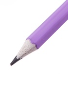 Набор карандашей чернографитных Calligrata. Pastel, HB, 12 штук, шестигранный, пластиковый, МИКС - Фото 5