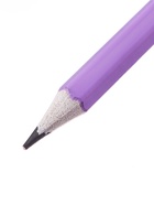 Набор карандашей чернографитных Calligrata. Pastel, HB, 12 штук, шестигранный, пластиковый, МИКС - Фото 6